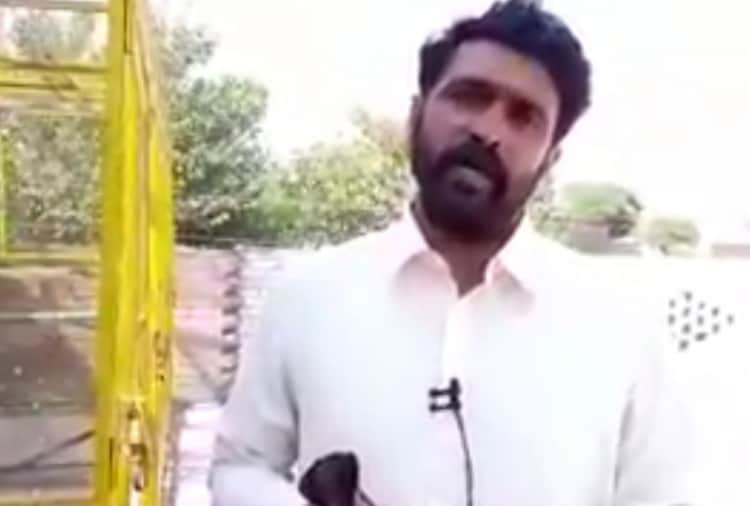 A Pakistani urges to PM Modi to return back his Pigeon