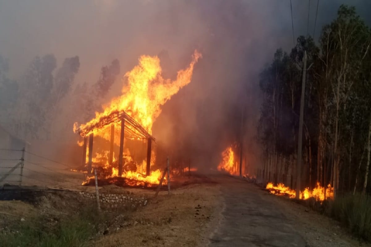 Fierce fire set in the forest near the Shivalik hills at Saharanpur