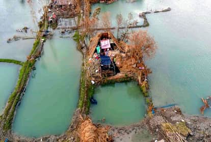 Cyclon Amphan: Tigers took away their men, Amphan their livelihood: Sunderban 'tiger widows' struggle to survive