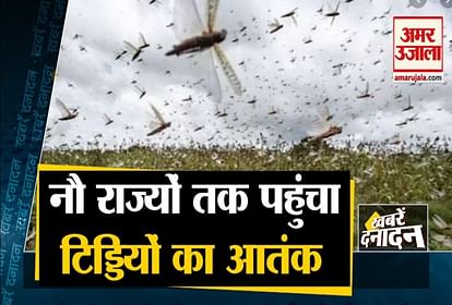 Big News Including Locust Attack On 9 States