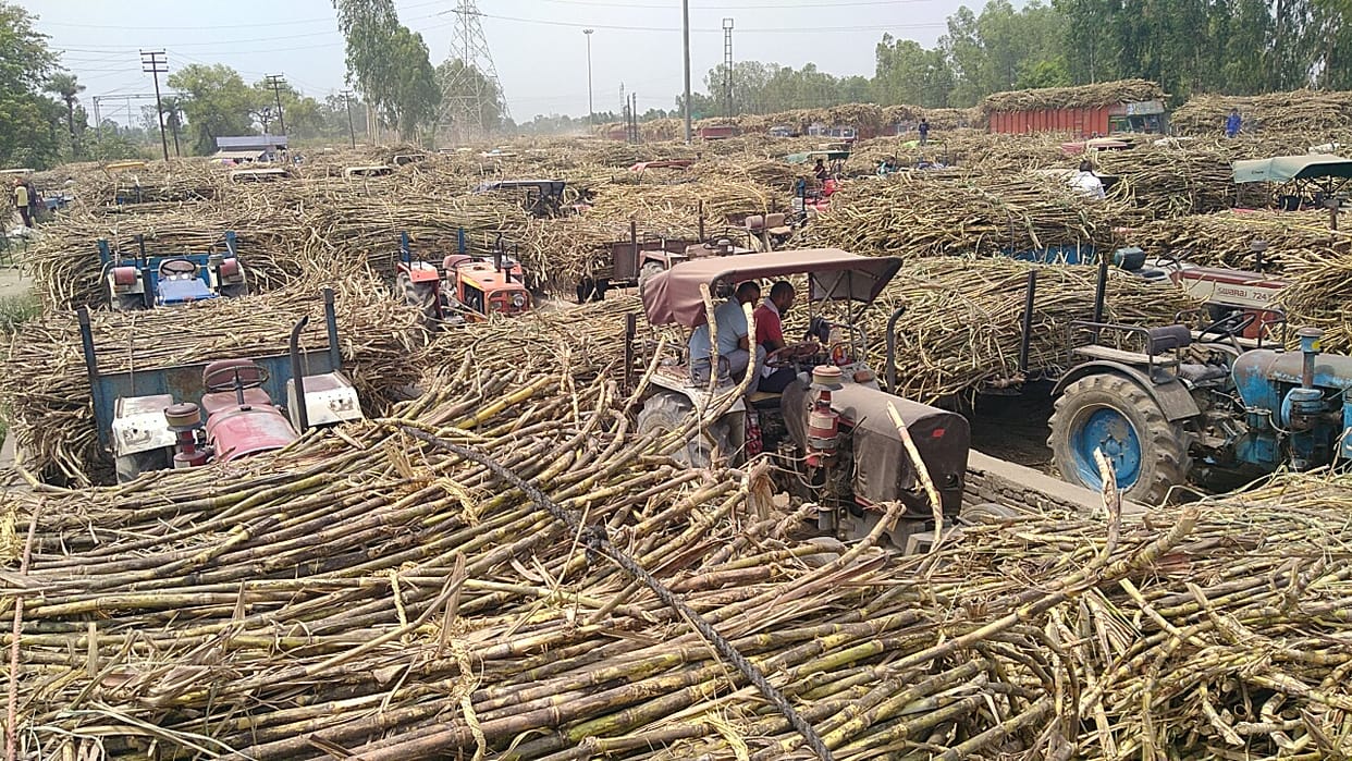 Fraud in farmers for sugarcane supply