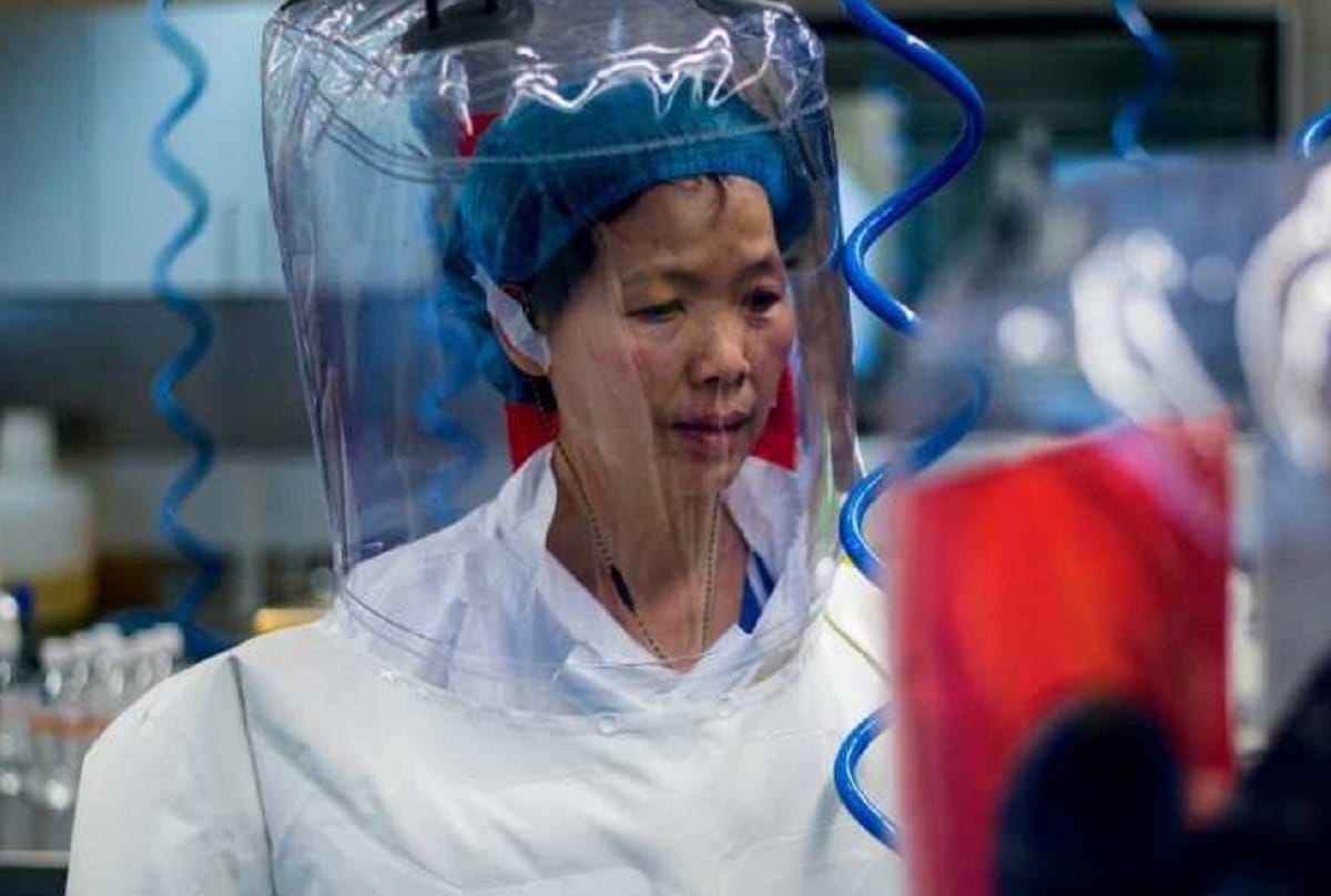 Coronavirus is just tip of the iceberg warns China batwoman Shi Zhengli virologist