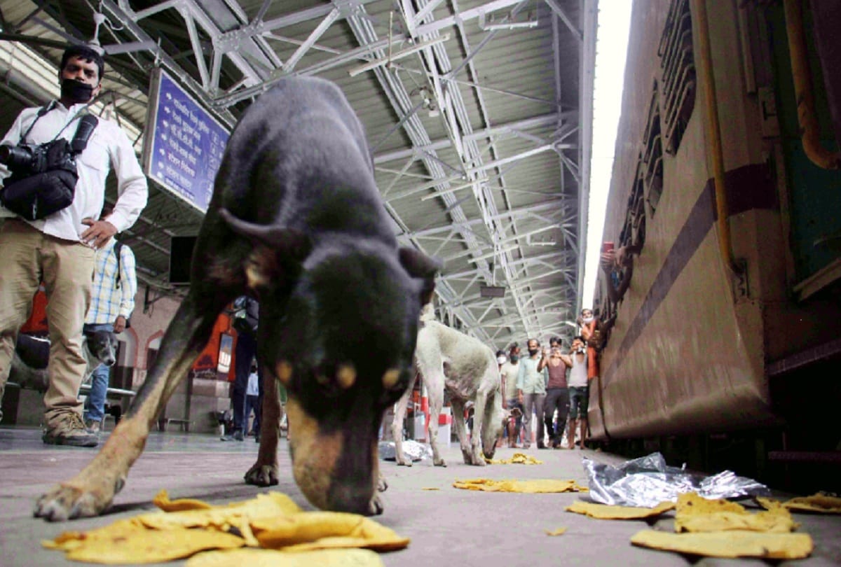coronavirus in up Migrants says did not even think in dreams that they would be forced see photos
