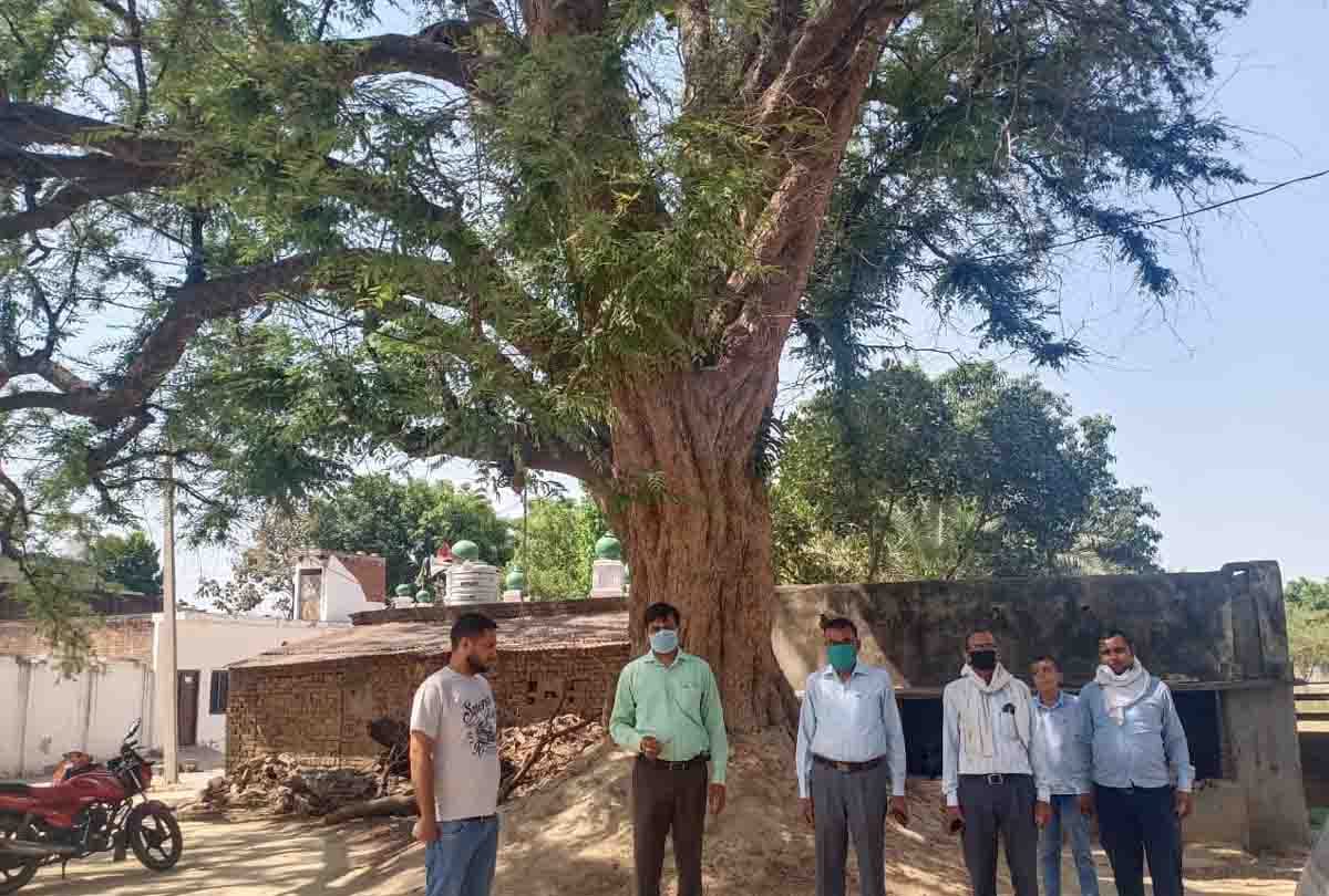 Farrukhabad: farmer killed locusts with cloth