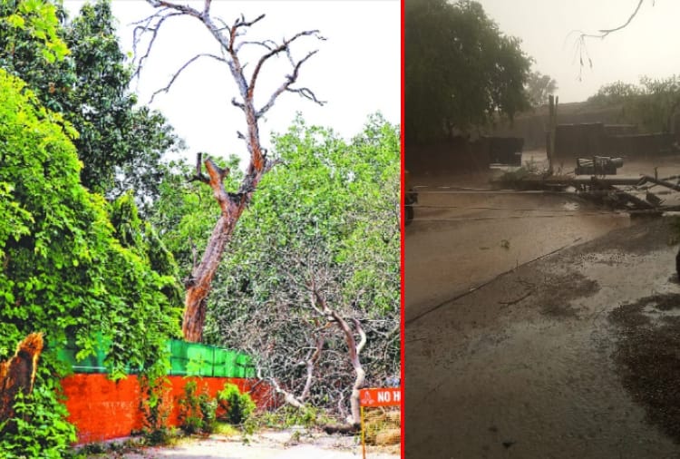 Relief from heat in many districts of Punjab after light rain and storm