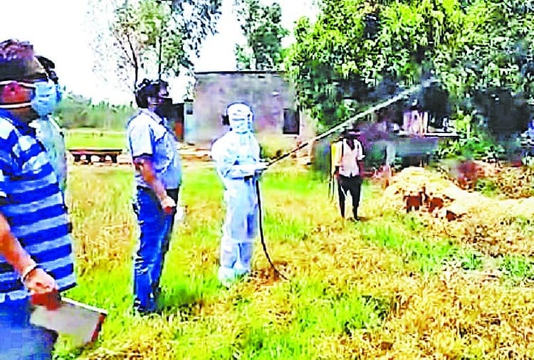 Threat of locust swarm attack remains in Punjab