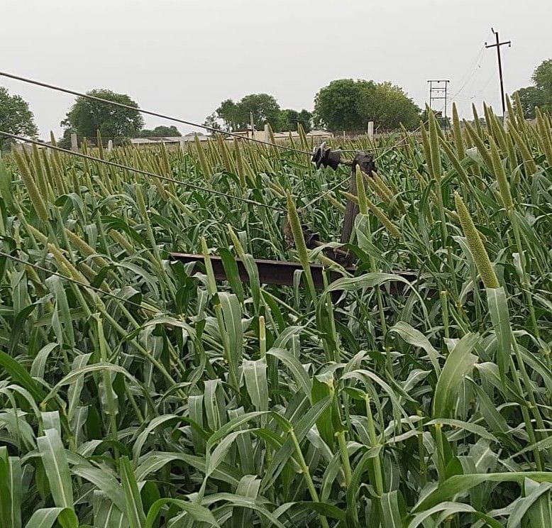 Hathras: Loss of lakhs due to storm, 125 pole and one thousand meter power line broken