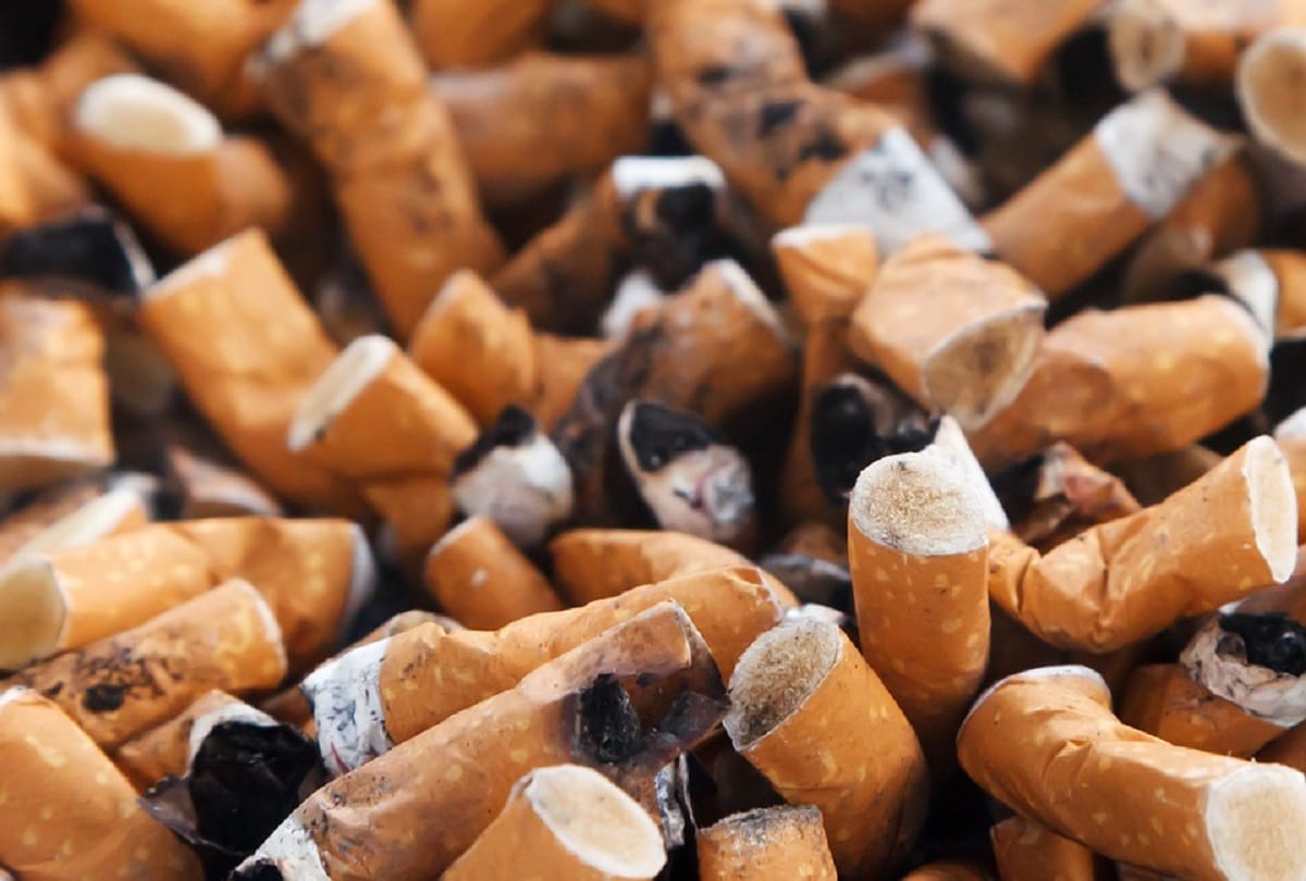 4 Crore children aged 13 to 15 years using tobacco products globally say WHO on World No Tobacco Day