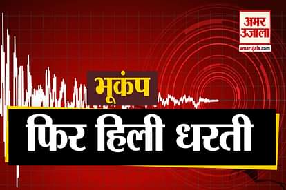 Earthquake In Delhi NCR, Strong Tremors For Many Seconds After 4.6 Magnitude Quake In Haryana