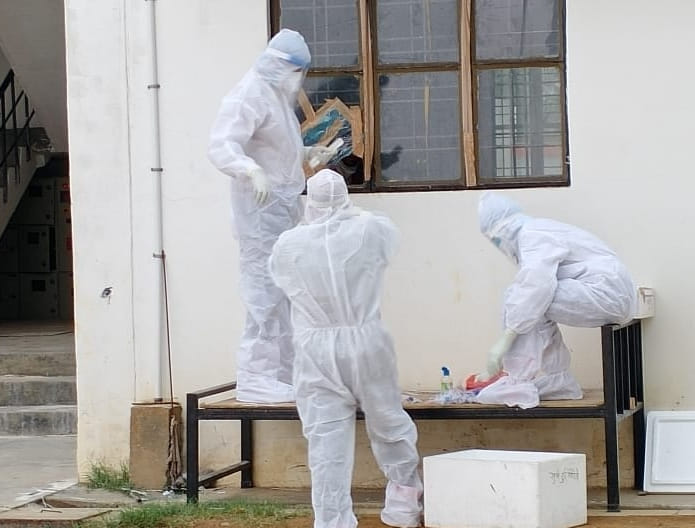 Quarantine sample of 51 people for Corona investigation