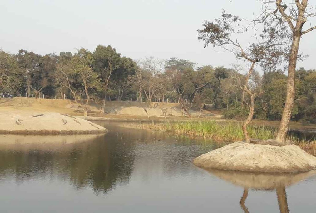 People live with Crocodile in Village of UP