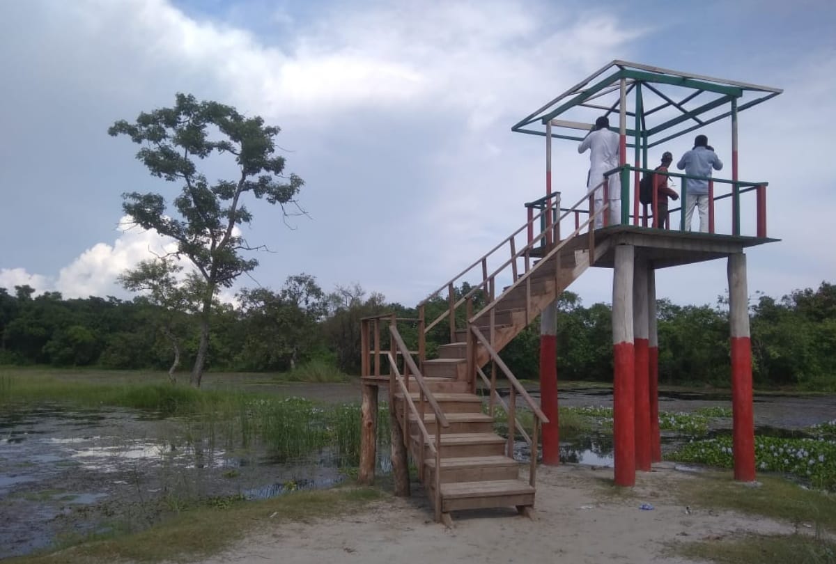Darjiniya Taal special story Crocodile house in indo nepal border