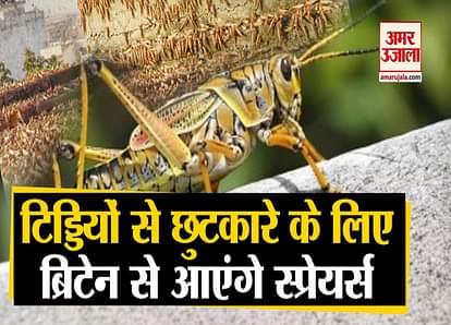 agriculture minister narendra tomar reviews locust control 15 sprayers india will buy from uk