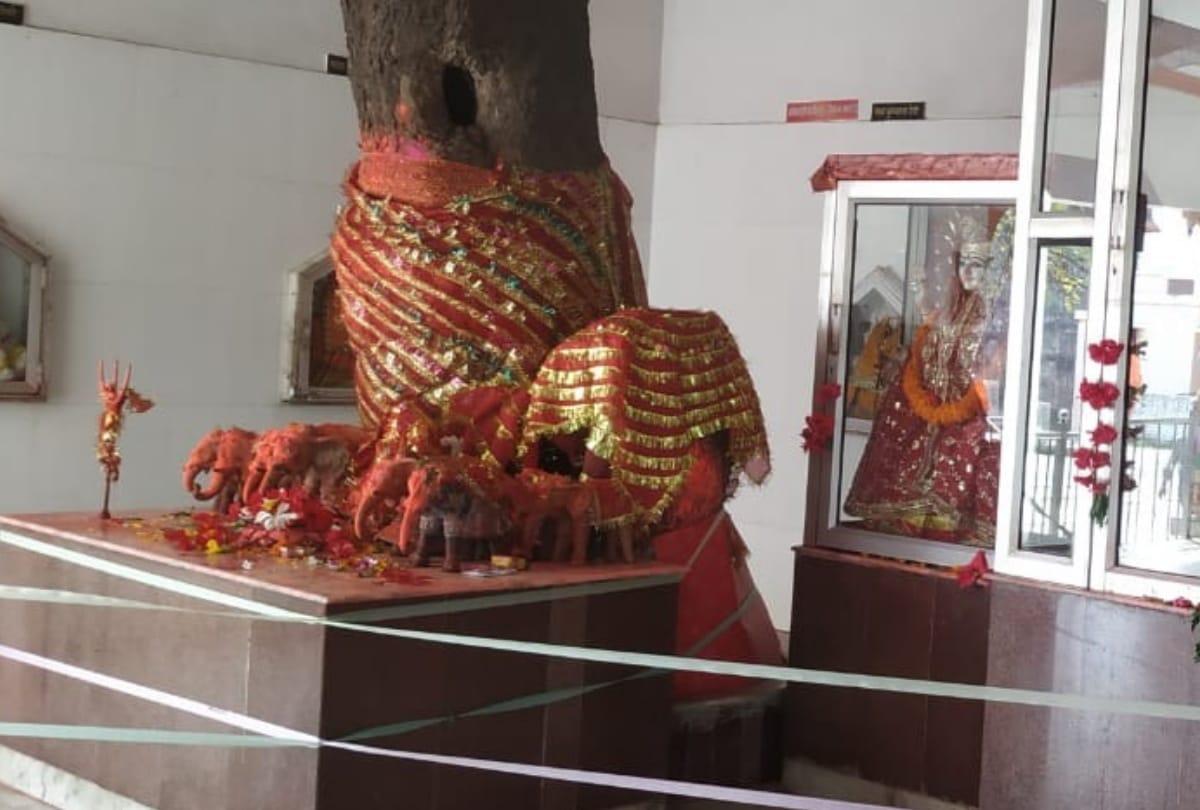 Special story of Tikulhiya Maa in Maharajganj UP