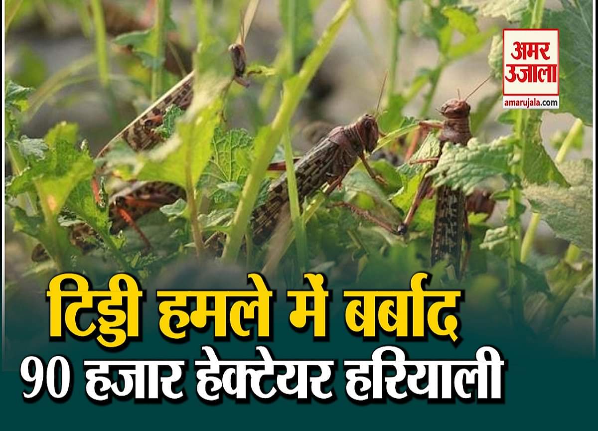 न्यूज