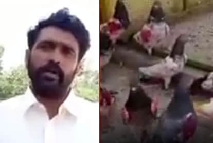 Pakistani Pigeon will go back to pakistan