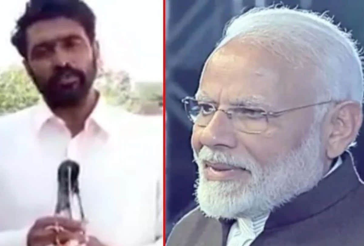 Pakistani Pigeon will go back to pakistan