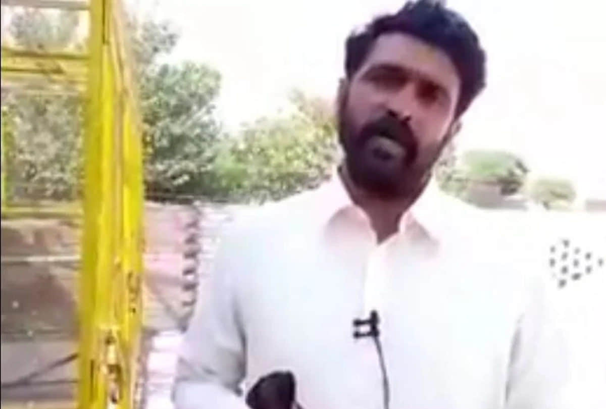 Pakistani Pigeon will go back to pakistan