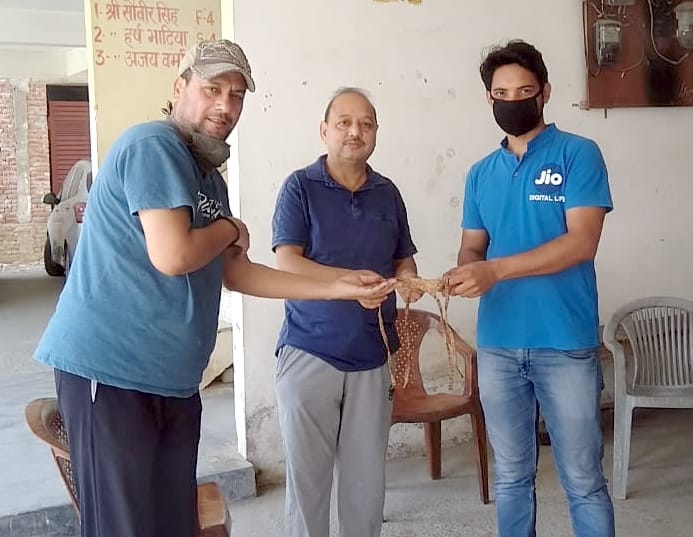 Masks distributed to the handlers, globs distributed