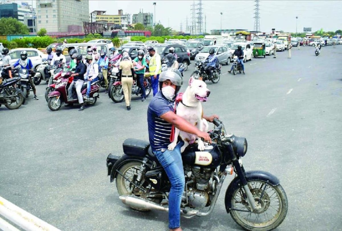Man with dog on bike sent back to delhi from gurugram border as he was not having dog pass