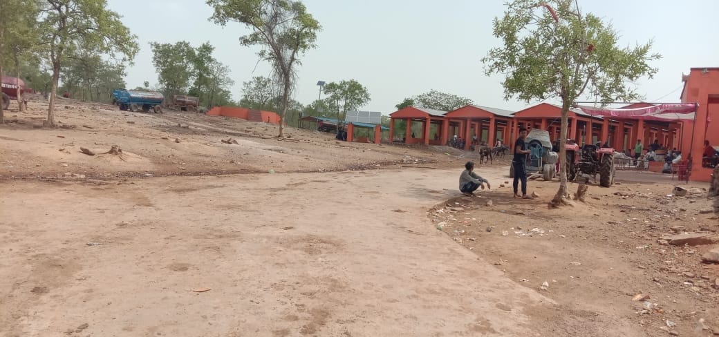 15 buso se amarpur mandi bheje gye 780 prbasi labour