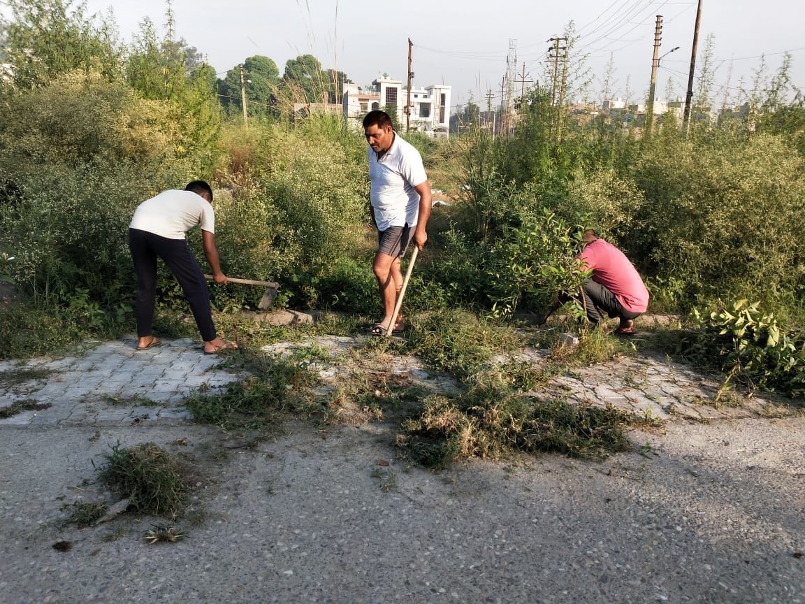 Cleanliness drive in Ashok Vihar Colony