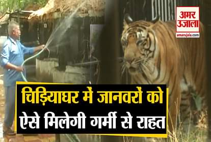 Animals will get relief from heat in Vadodara zoo, government is doing these unique measures