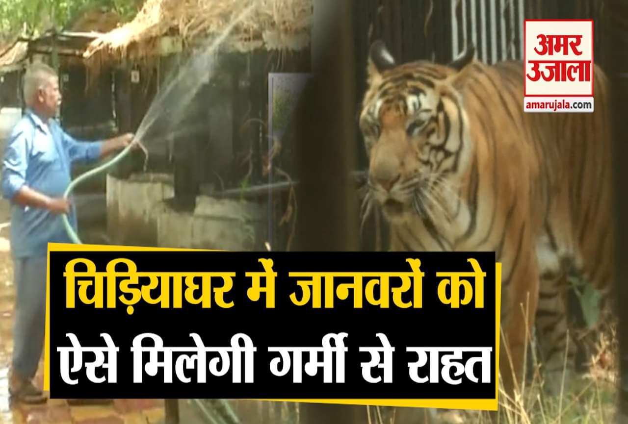 चिड़ियाघर सयाजीबाग