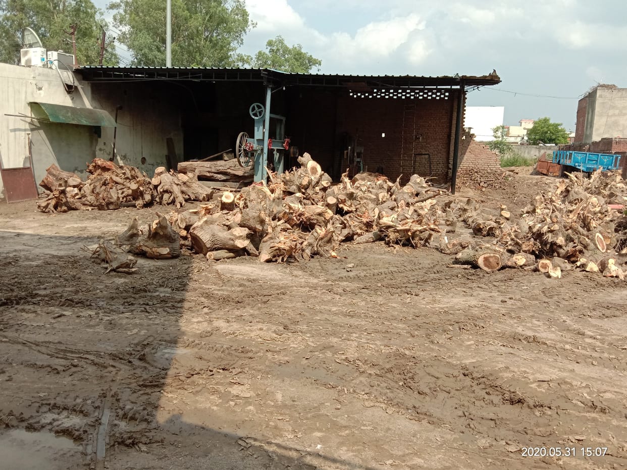 Popular wood business stalled in Janasath, Aramashin closed