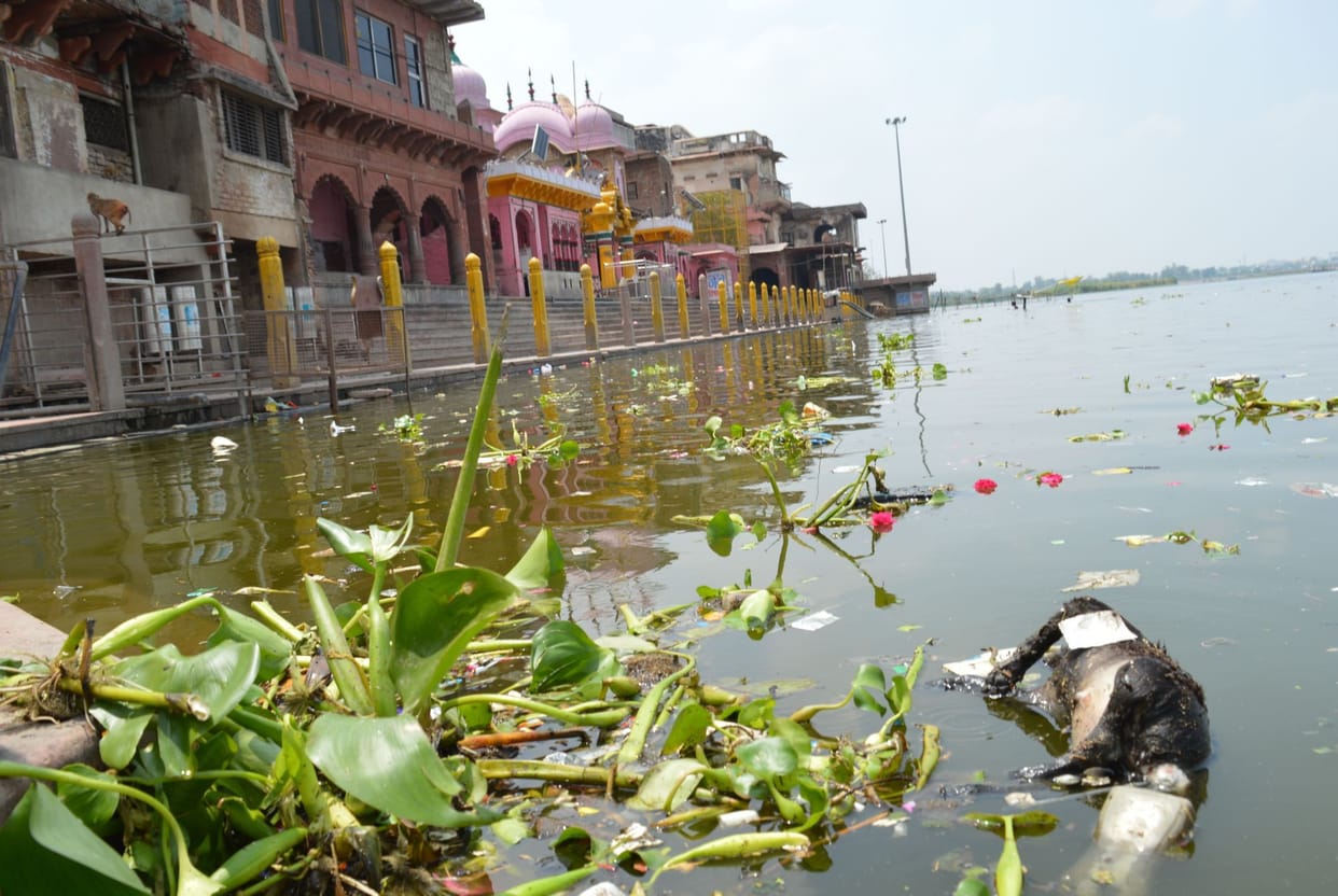 ganga, dusehra, poluted, yamuna, mathura