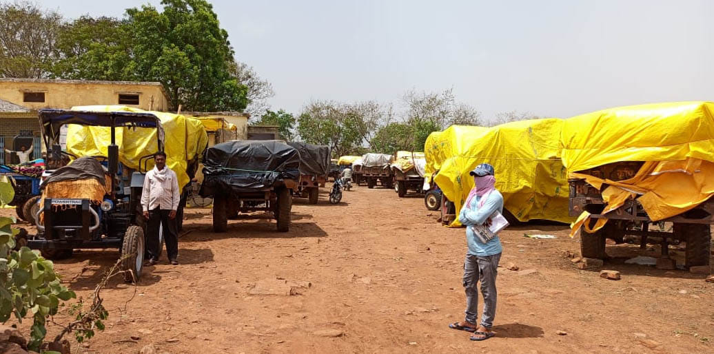 farmers waiting measurement for wheat , sack crisis