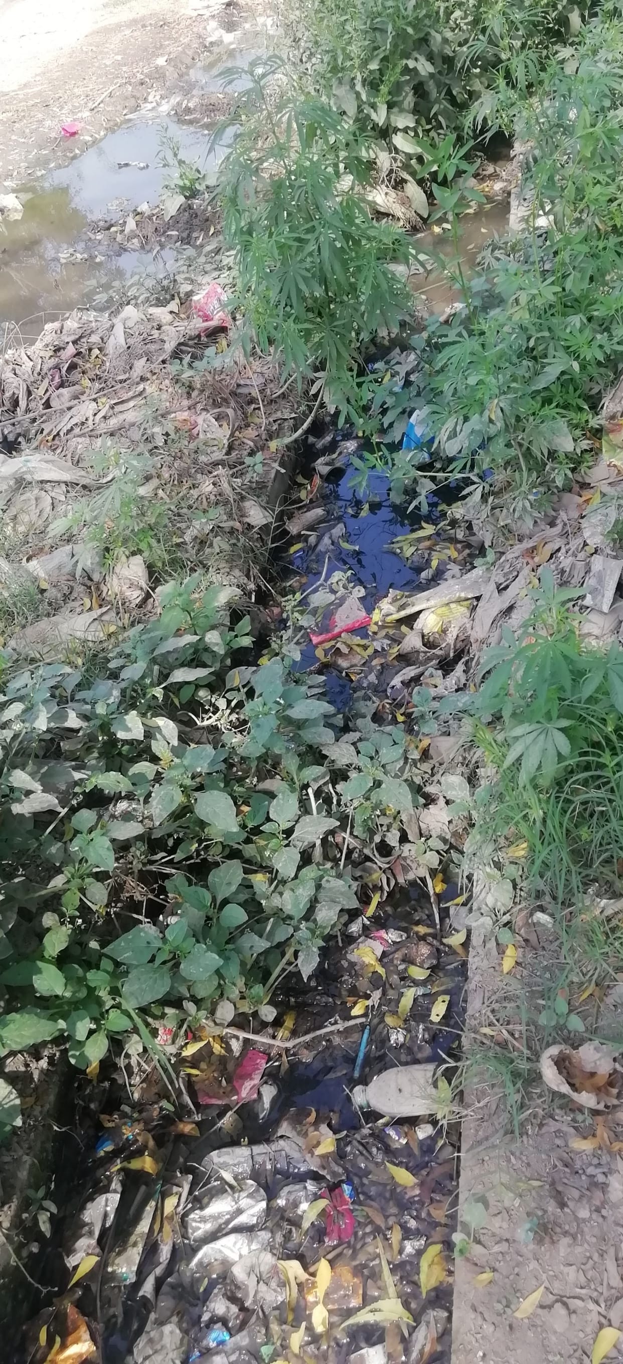 monsson in etawah