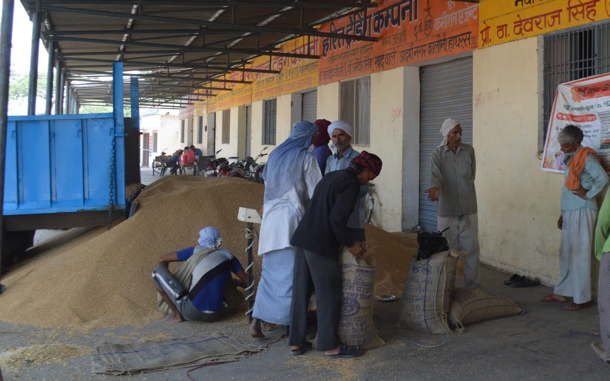 Hathras: Three lakh 22 thousand quintals of wheat purchased between lockdown