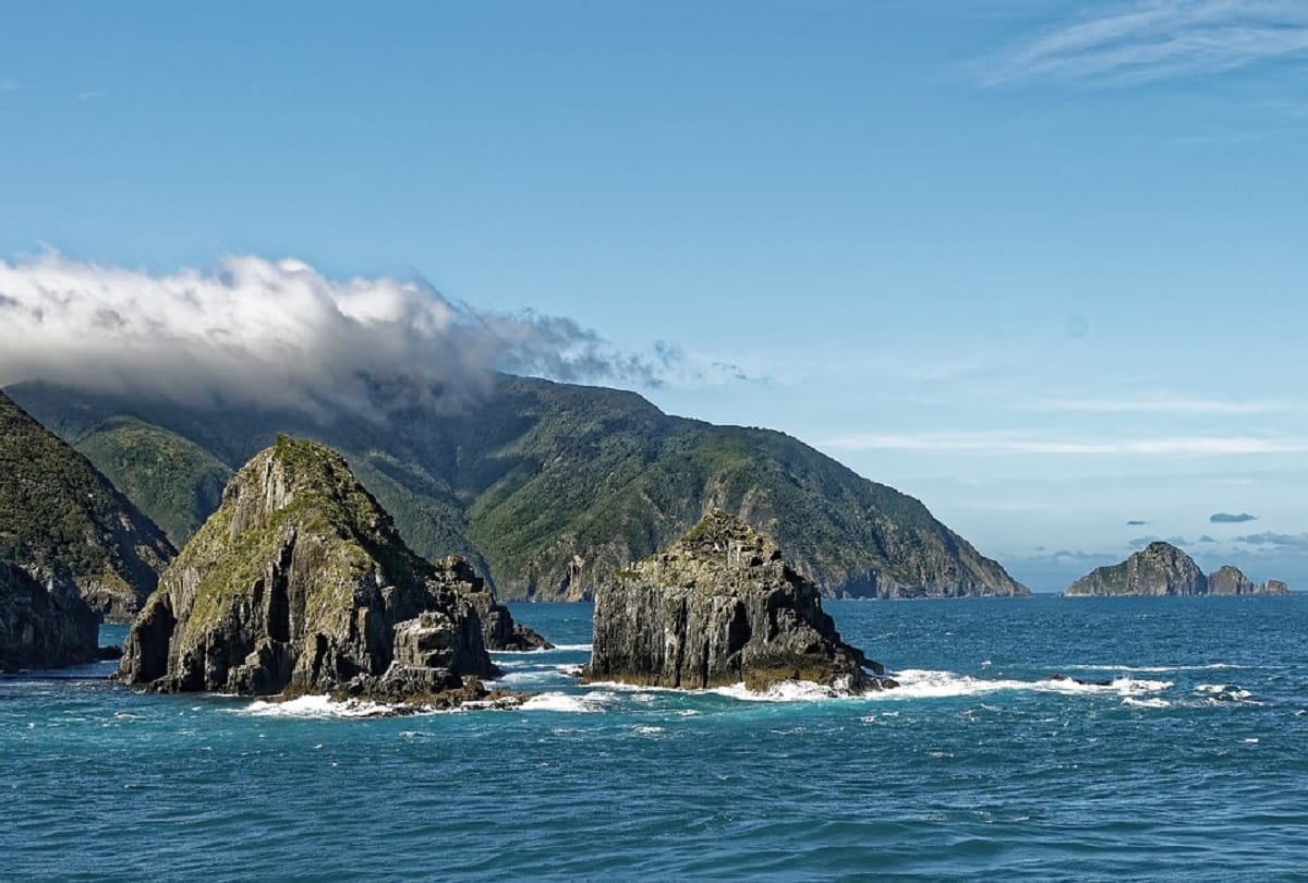 Interesting story of New Zealand discovery and its history