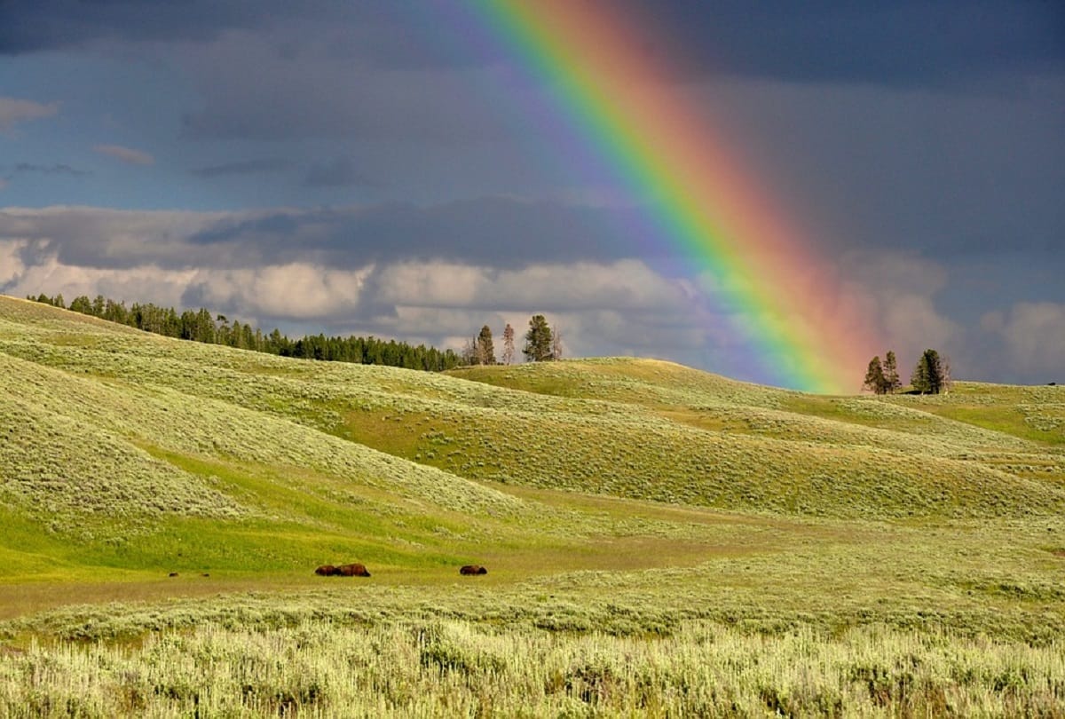 Why rainbows are formed in the sky after rain