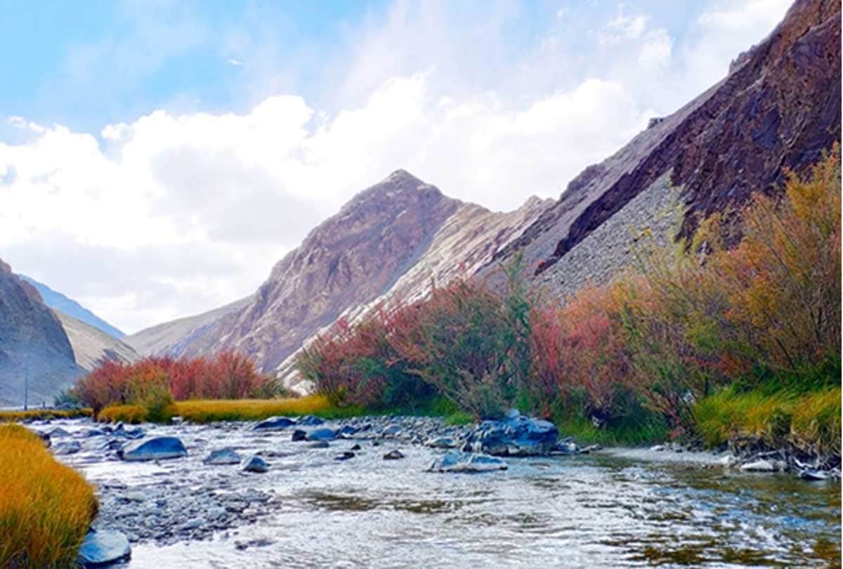 indian china dispute on lac, know about ladakh LAC villagers