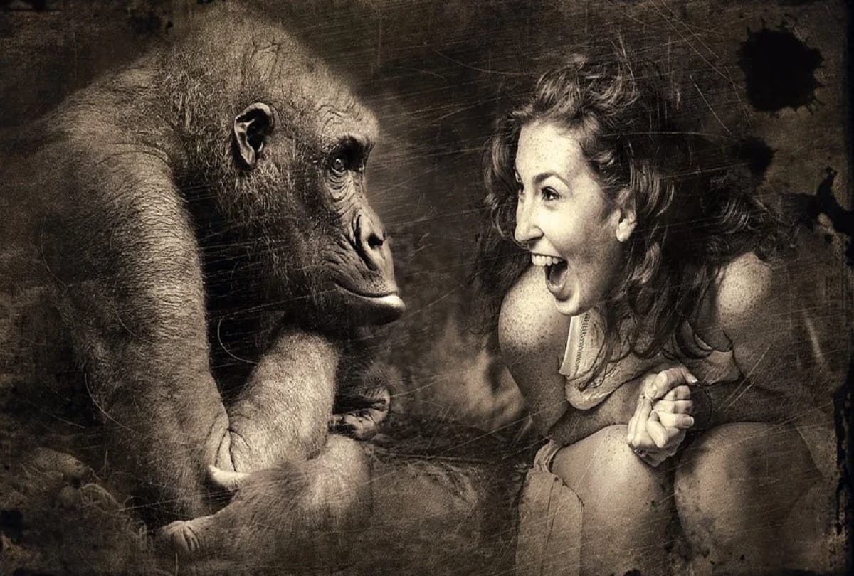 How the art of laughing evolved in humans Do animals even laugh
