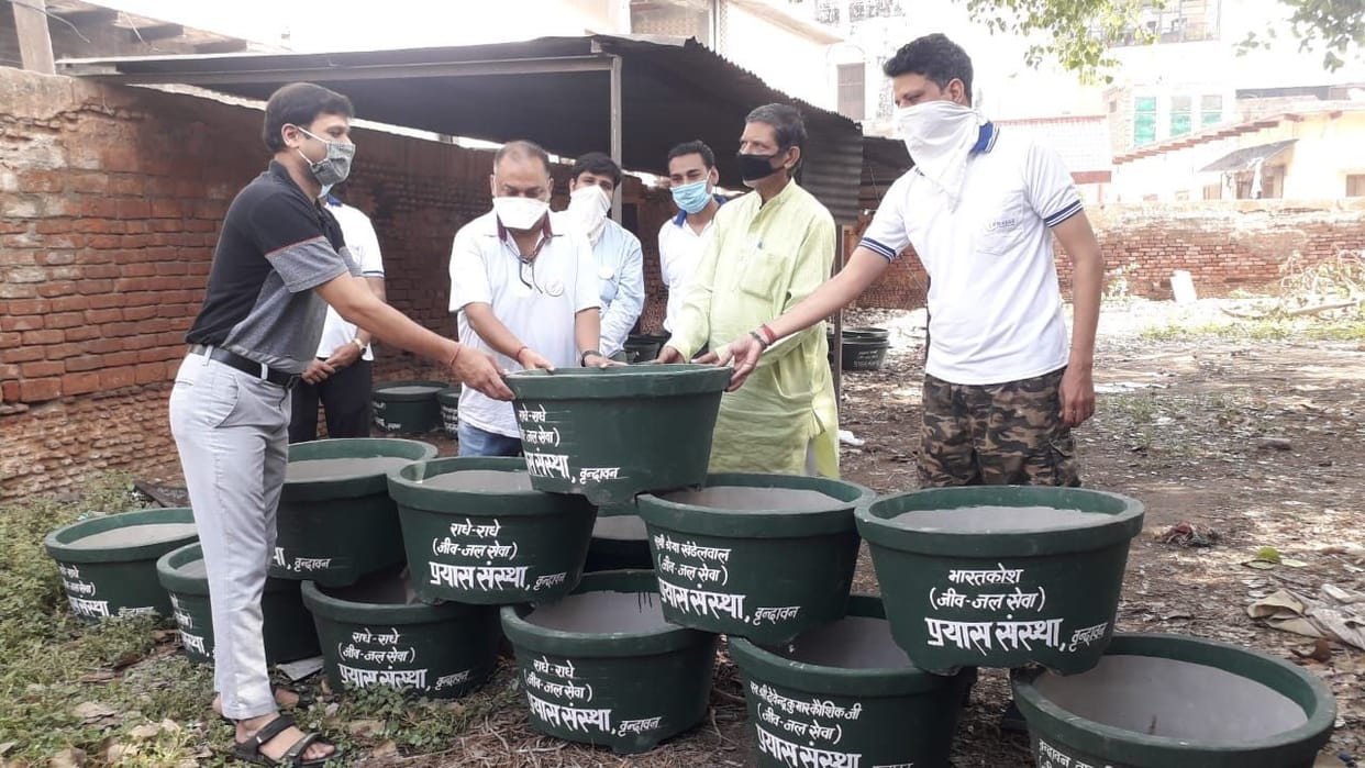 bird, news, water pot, distribute, mathura