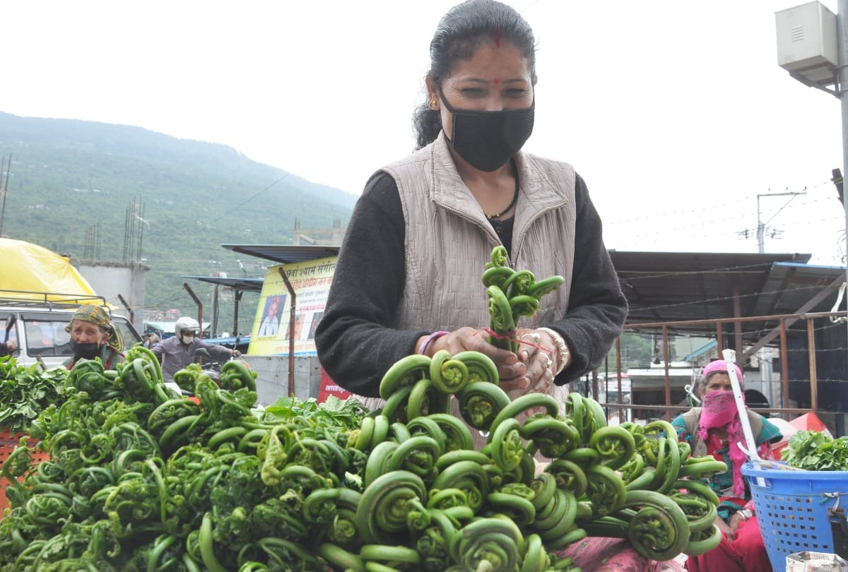 essential goods delivery at door in Nirmand kullu