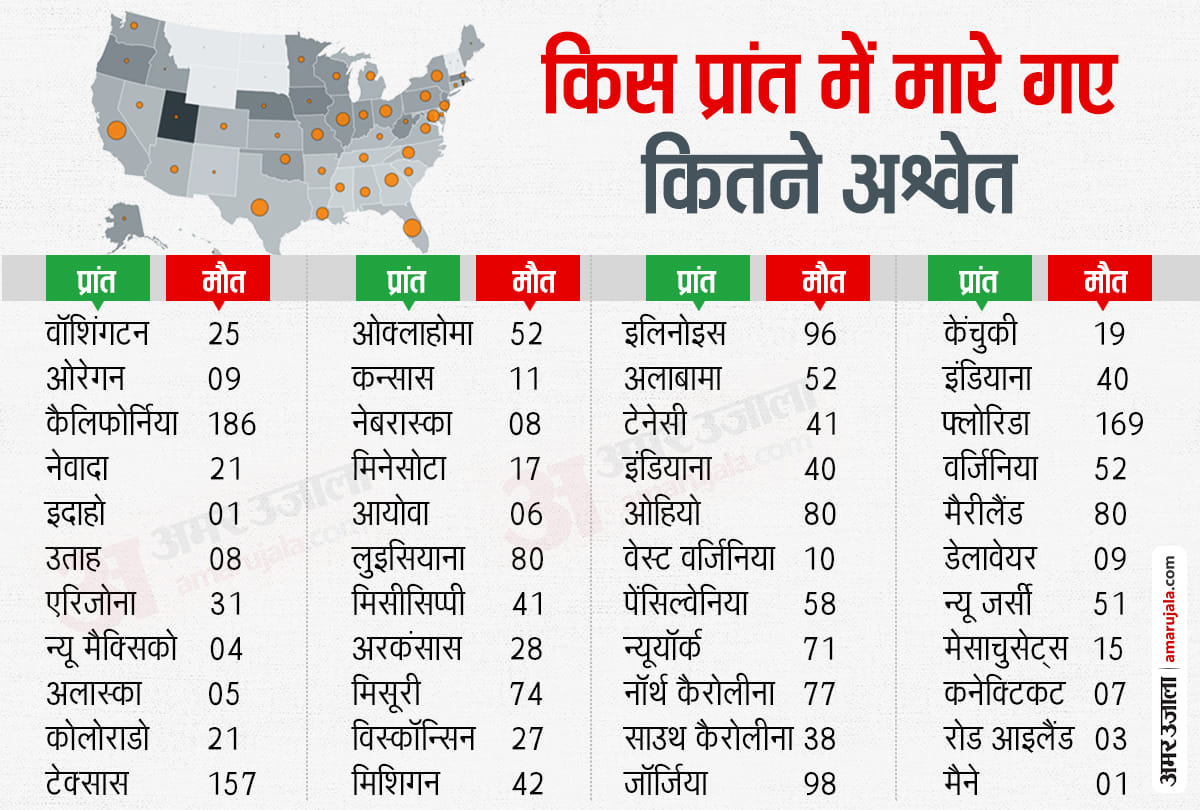 अमेरिका में हिंसा