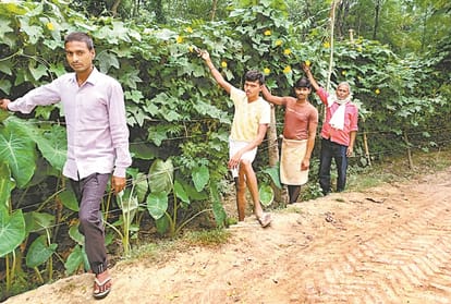 Lockdown badly effected vegetable producing farmers says amar ujala ground report on agriculture