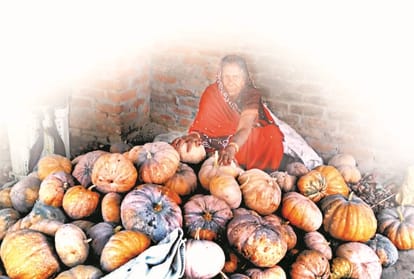 Lockdown badly effected vegetable producing farmers says amar ujala ground report on agriculture