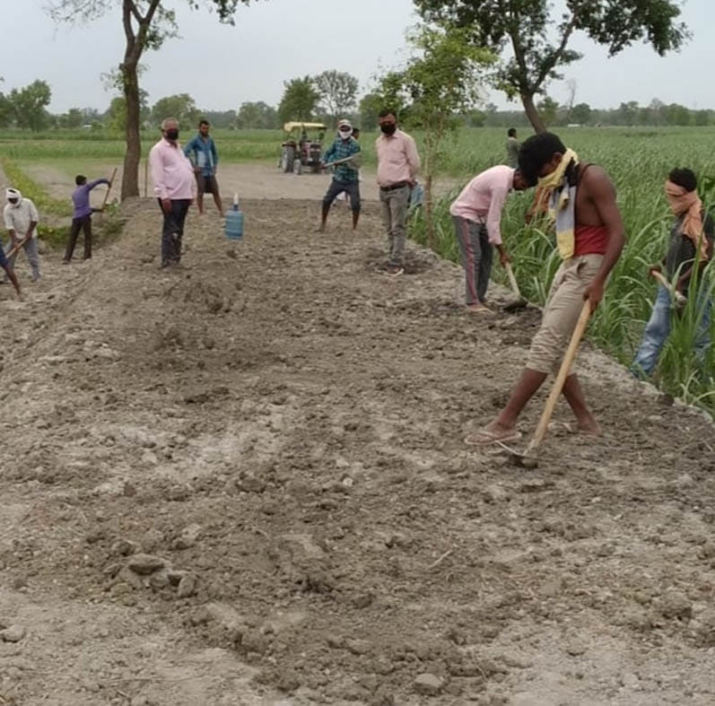 works going on in mnrega, 5382 labourers deployed