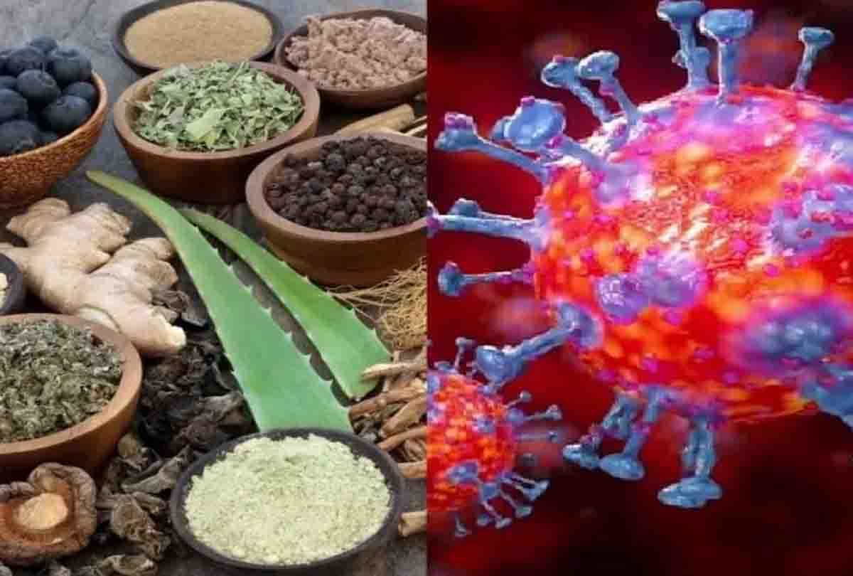 India Traditional Medicine gaining foothold in the whole world as more than 36 Crore Kilo Ayurvedic product so