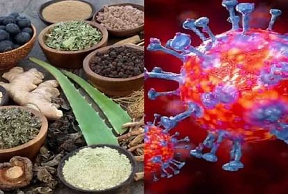 Fact check: Expert says do not trust on social media claims of treatment of coronavirus from ayurveda home remedies