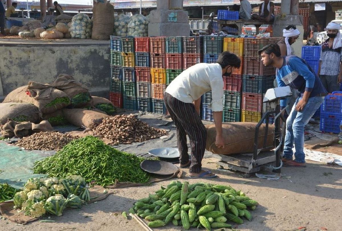 UP News: Farmers have suffered heavy losses in vegetable crops in Meerut