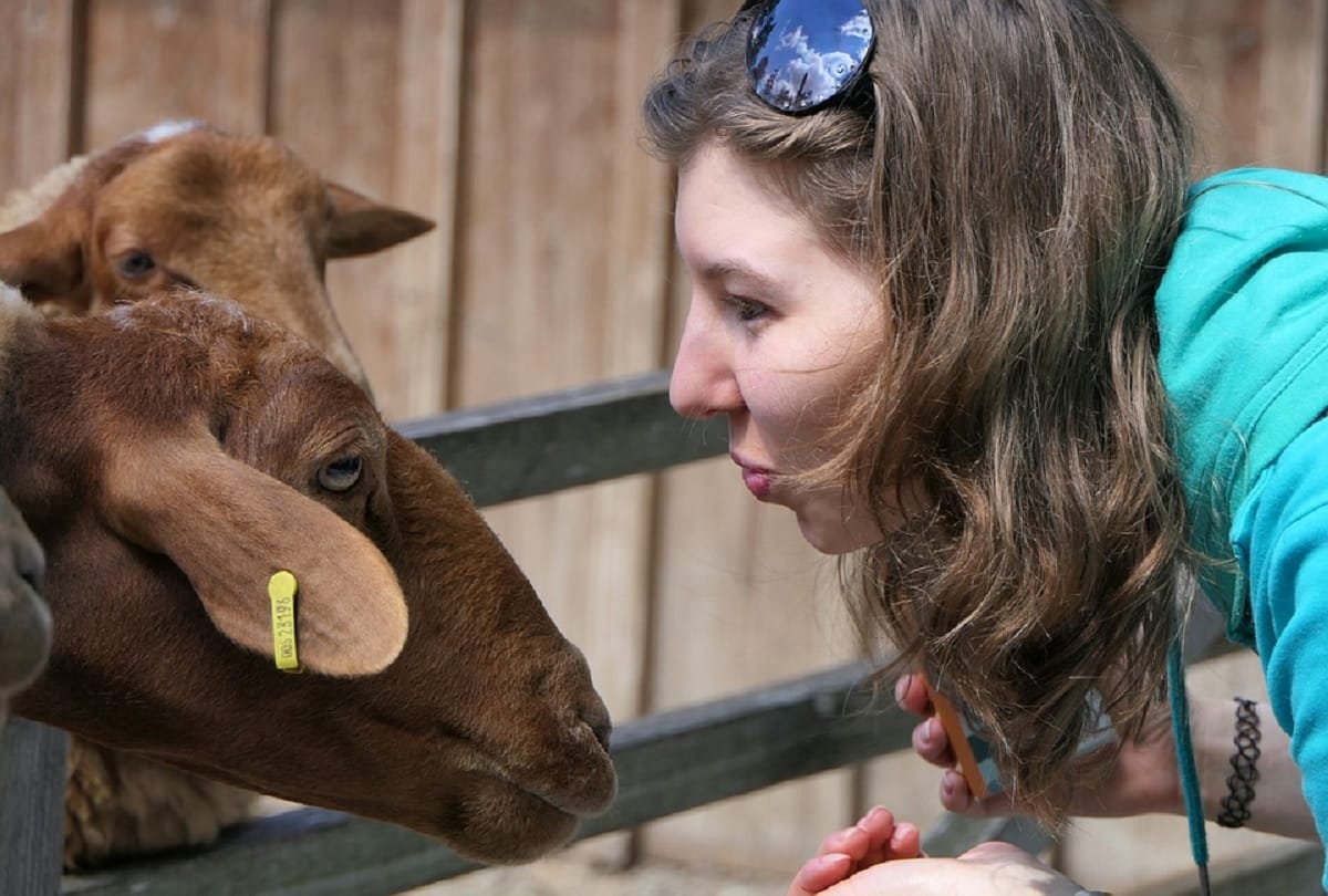 Will human ever be able to talk to animals and birds in their language