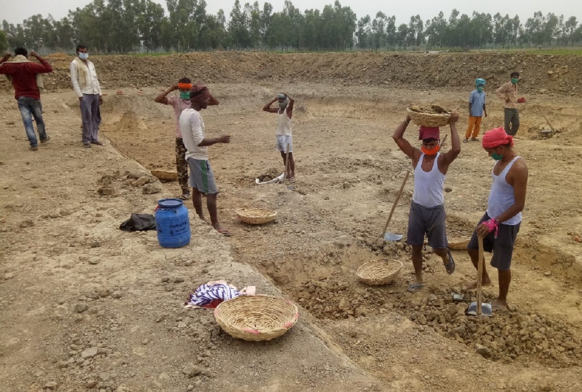 Farm losses to some extent covered up by under MGNREGA