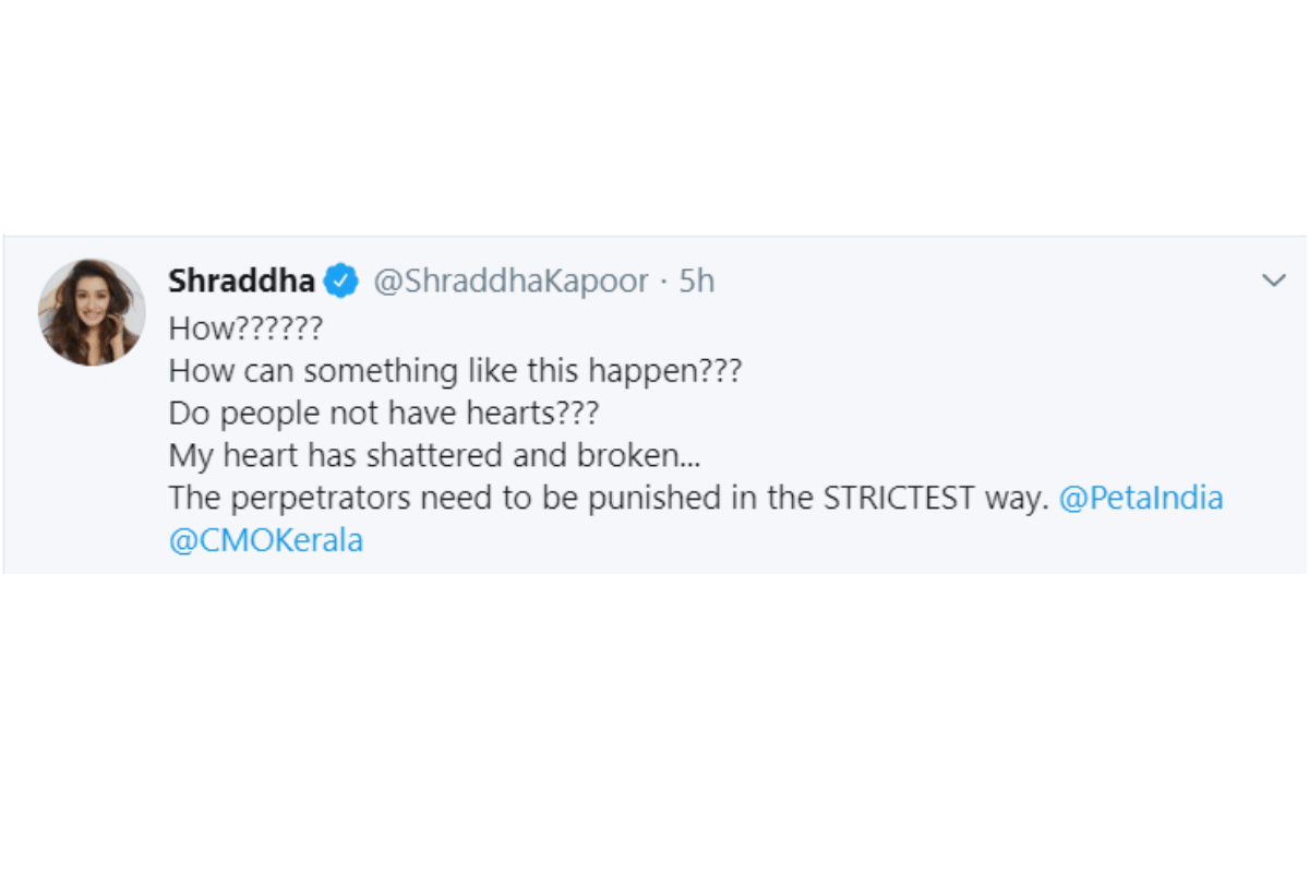 Shraddha Kapoor And Athiya Shetty angry on human Kills a Pregnant Elephant With Firecrackers