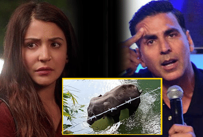 अनुपम खेर और अक्षय कुमार